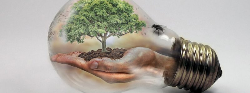 2cd9d1d7bb30511eb4cd517c131ae148_L